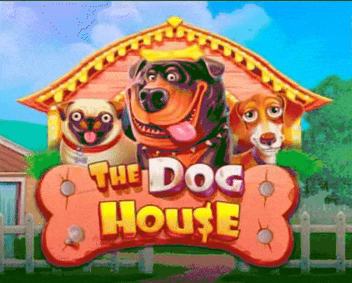 play the dog house in novoline casino